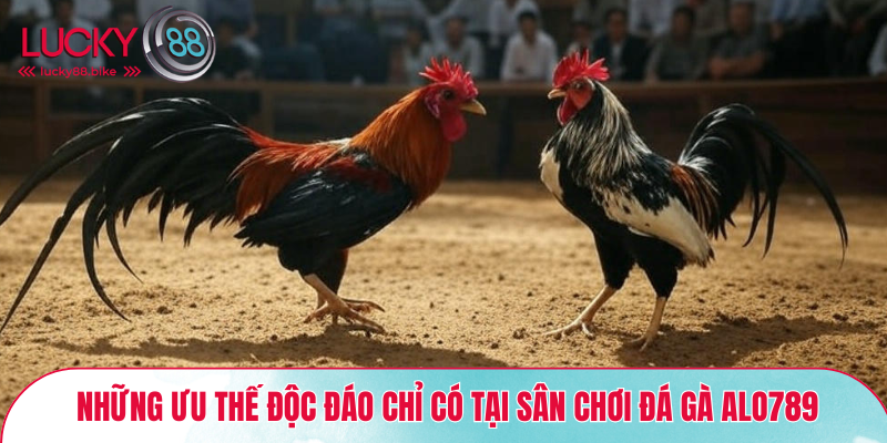 Những ưu thế độc đáo chỉ có tại sân chơi đá gà ALO789